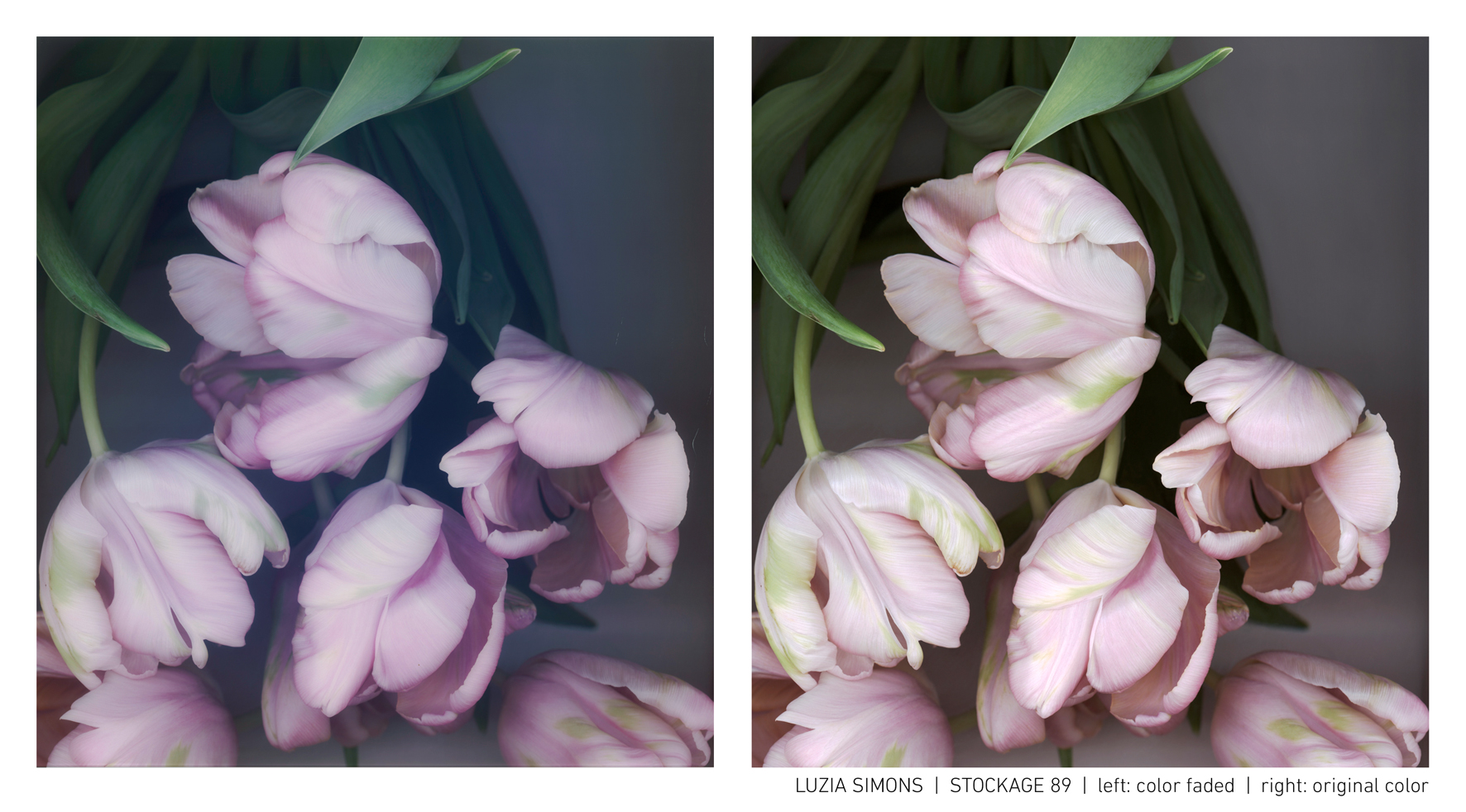 Blog-Foto