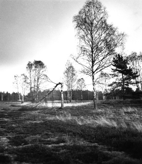 Blog-Foto