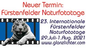 Blog-Foto