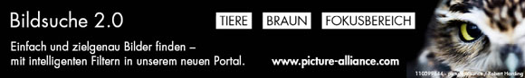 Blog-Foto