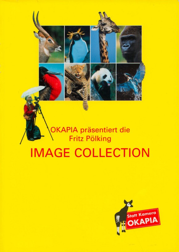 Blog-Foto