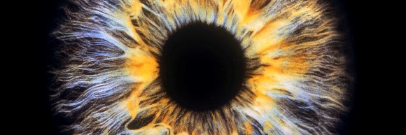 Blog-Foto