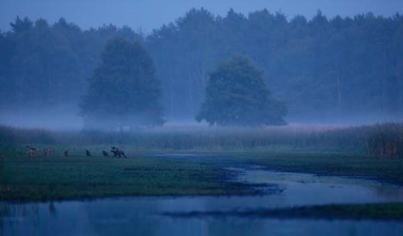 Blog-Foto