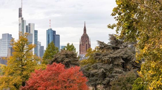 Blog-Foto