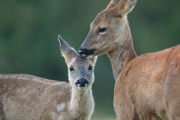 Blog-Foto