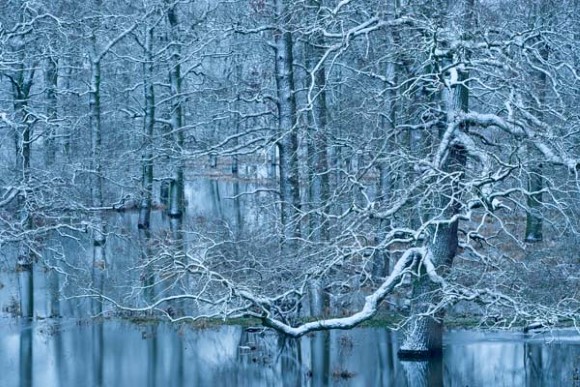 Blog-Foto