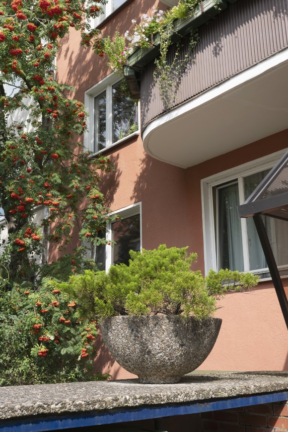 Blog-Foto