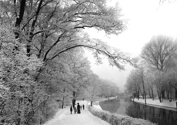 Blog-Foto