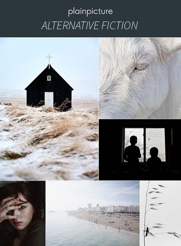 Blog-Foto