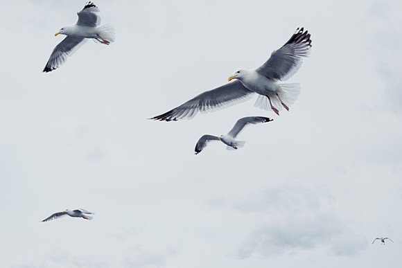Blog-Foto